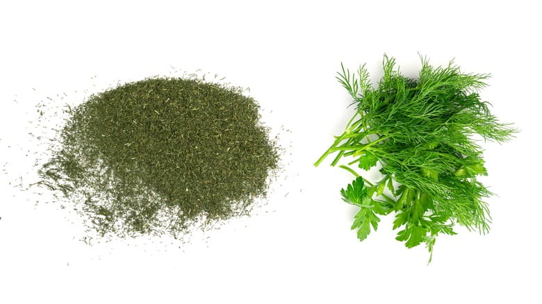 تصویر 4 از شوید خشک محلی با عطر طبیعی و طعم اصیل